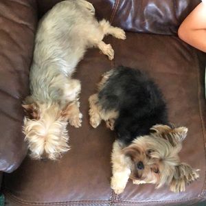 Meet your Posher, Lis